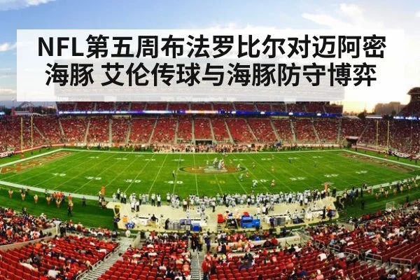 american football stadium crowd